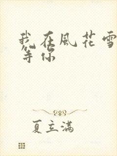 我在风花雪月里等你