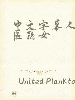 中文字幕人妻三区熟女