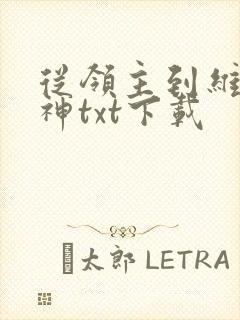 从领主到维度魔神txt下载
