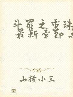 斗罗之灵珠神剑 最新章节 无弹窗封面