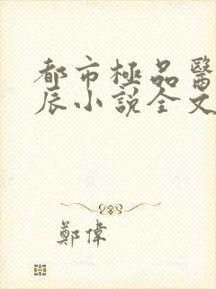 都市极品医神叶辰小说全文阅读