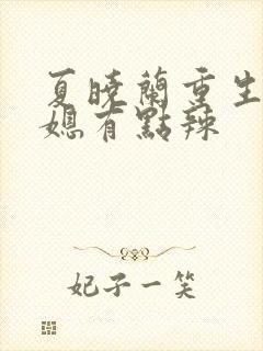 夏晓兰重生八零媳有点辣