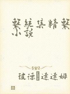 系统集精系统 小说