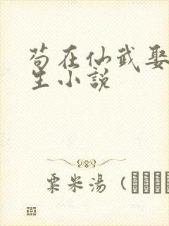 苟在仙武娶妻长生小说