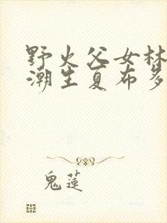 野火父女林晚林潮生夏布多昂