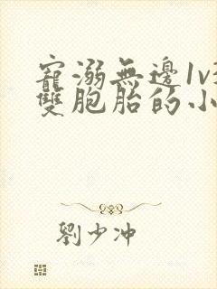 宠溺无边1v3双胞胎的小说