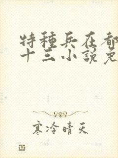 特种兵在都市夜十三小说免费阅读