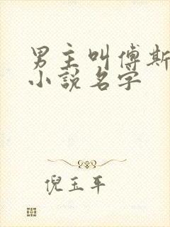 男主叫傅斯年的小说名字