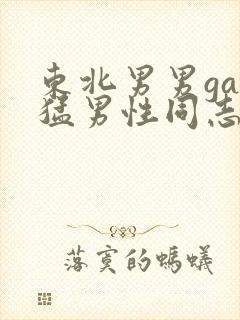 东北男男gay猛男性同志封面