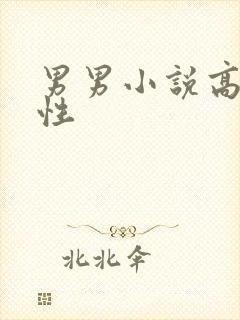 男男小说高h双性