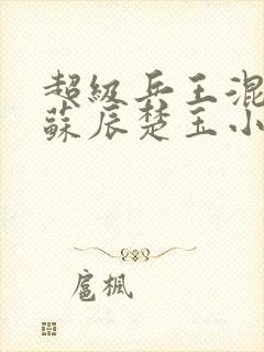 超级兵王混都市苏辰楚玉小说