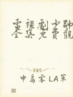 电视剧少帅48全集免费观看在线云