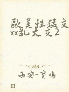 欧美性猛交ⅹxxx乱大交2