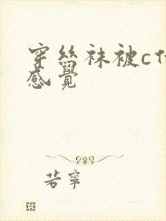 穿丝袜被c什么感觉