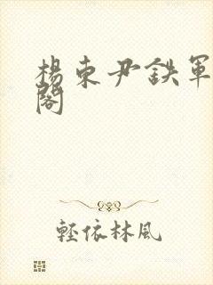 杨东尹铁军笔趣阁