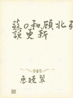 苏o和顾北弦小说更新封面