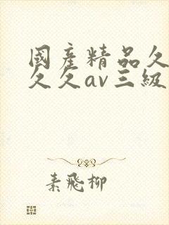 国产精品久久久久久av三级