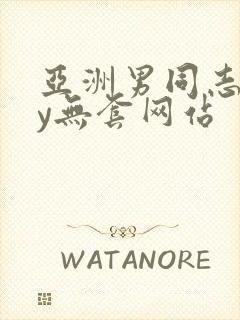 亚洲男同志gay无套网站