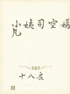 小姨司空嫣然叶凡封面