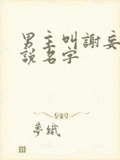 男主叫谢妄的小说名字