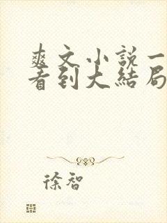 爽文小说一口气看到大结局封面