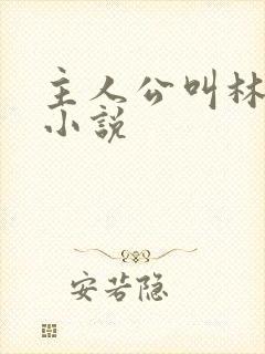 主人公叫林宇的小说封面