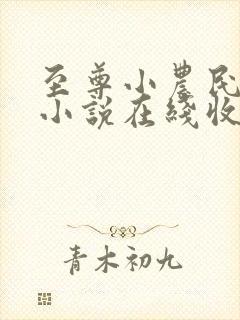 至尊小农民有声小说在线收听