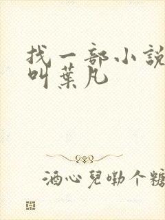 找一部小说主角叫叶凡