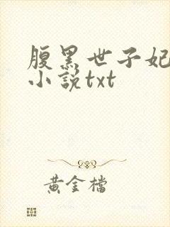 腹黑世子妃日常小说txt