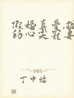 假婚真爱,总裁的心尖宠妻小说