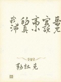 我的高官岳母苏沛真小说免费阅读