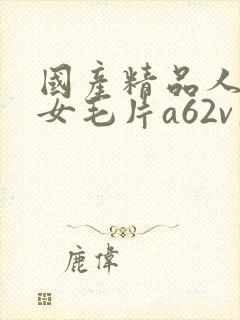 国产精品人妻熟女毛片a62v久久