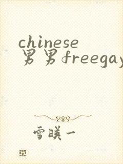 chinese男男freegay网站封面