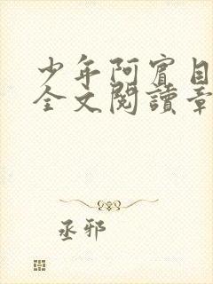 少年阿宾目录及全文阅读章节封面