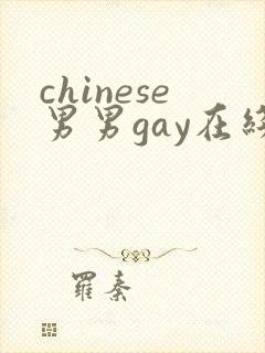chinese男男gay在线播放