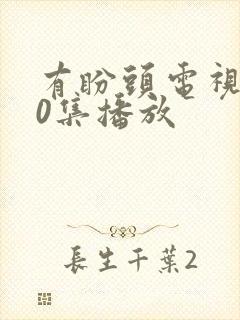 有盼头电视剧40集播放