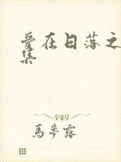 爱在日落之前全集