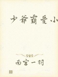 少爷霸爱小丫头