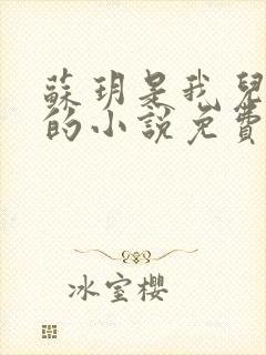 苏玥是我儿媳妇的小说免费阅读