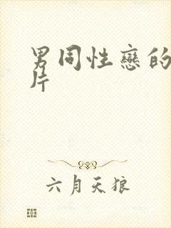 男同性恋的黄色片