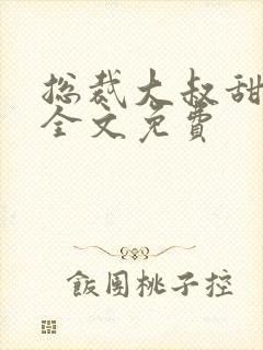 总裁大叔甜宠妻全文免费封面