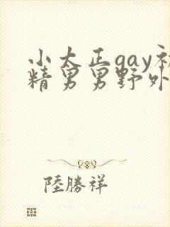 小太正gay初精男男野外封面