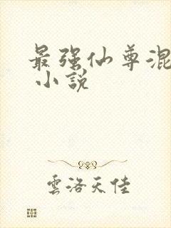 最强仙尊混都市 小说