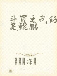 斗罗之我的武魂是鲲鹏