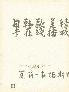 日韩欧美精品不卡在线播放