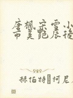 唐枫宋雪小说都市美艳辰后宫