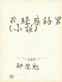 我经历的男人们(小说)