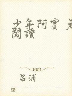 少年阿宾 免费阅读