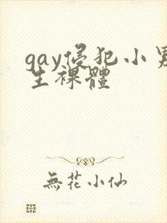 gay侵犯小男生裸体