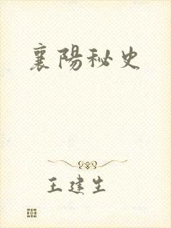 襄阳秘史